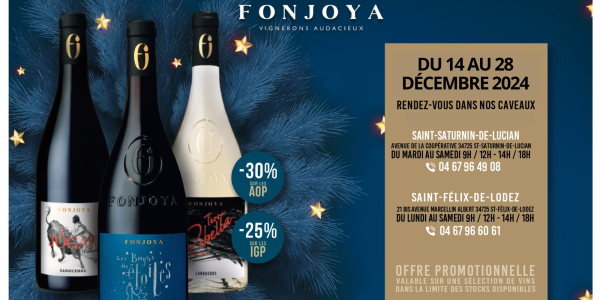 Les promotions de Noël sont arrivées !